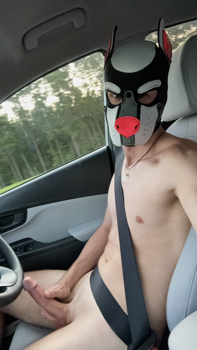 How do you like my driving? 😁