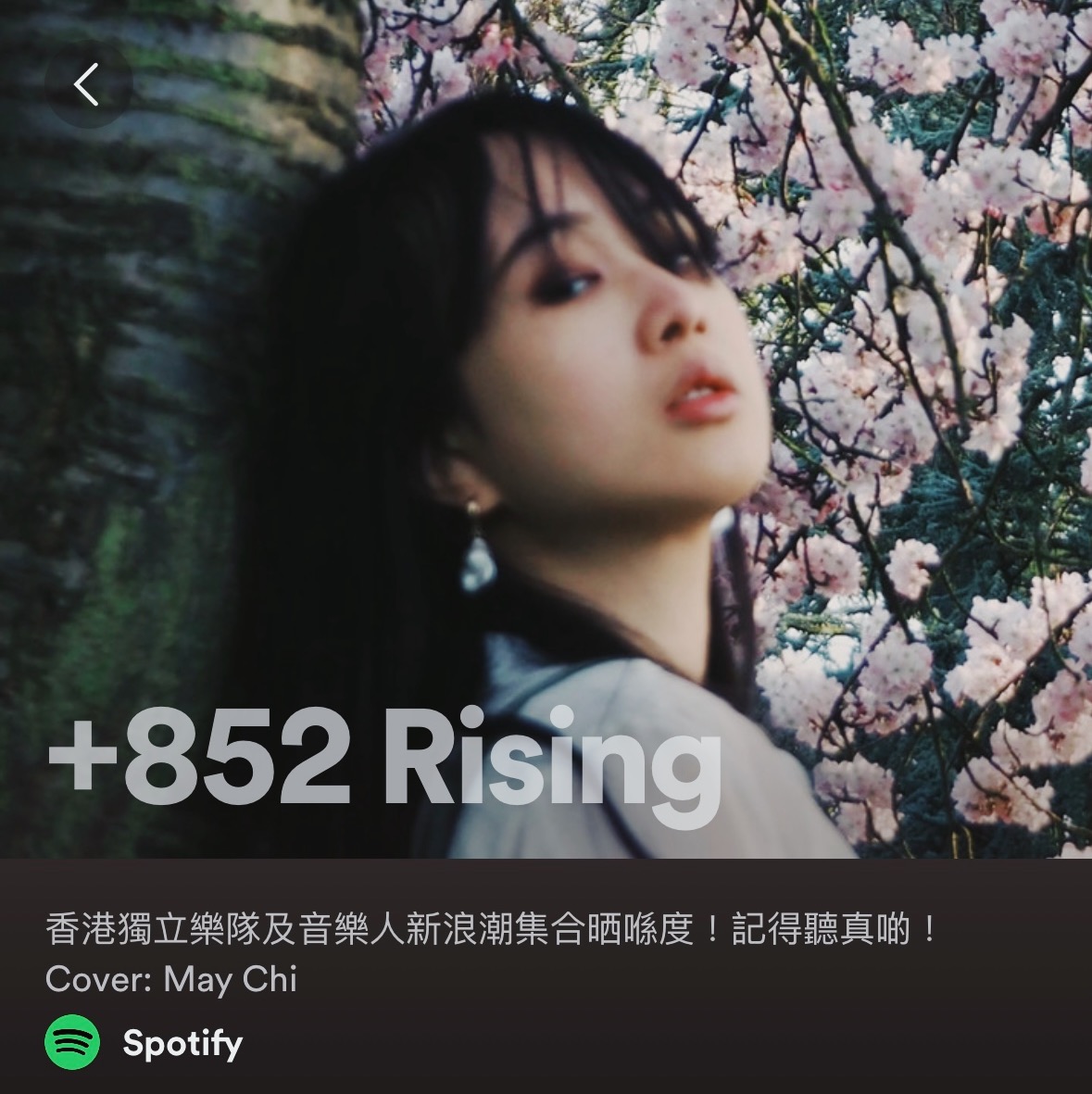 maychiwong's tweet image. first editorial cover feature!
not only was Blossom added to 4 (!!) spotify editorial playlists, i’m also the current face of +852 Rising 🤩
thank you for the support @spotify! stay tuned for a very exciting announcement later this week...