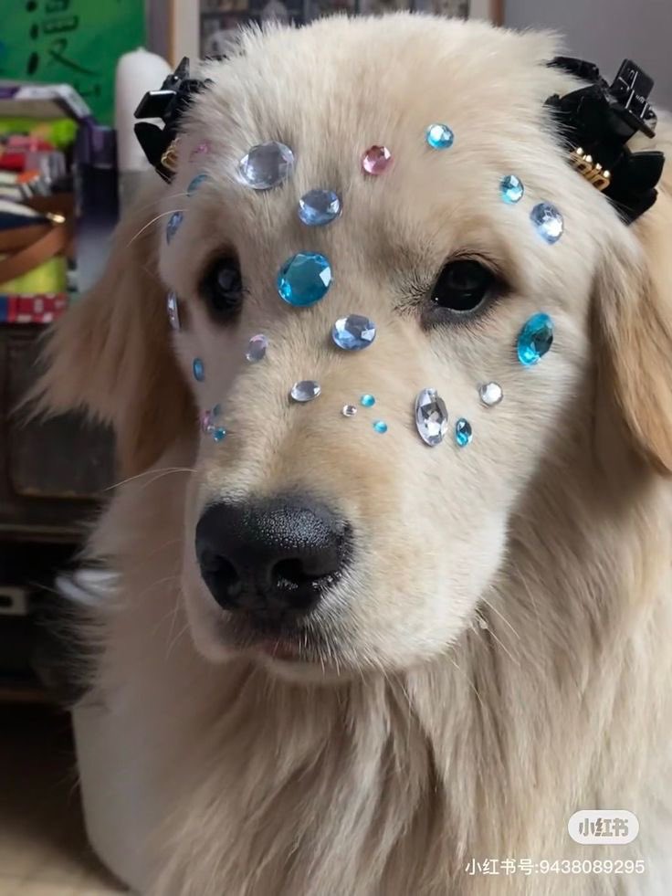 twaniimals's tweet photo. https://t.co/KSRU0y3uou