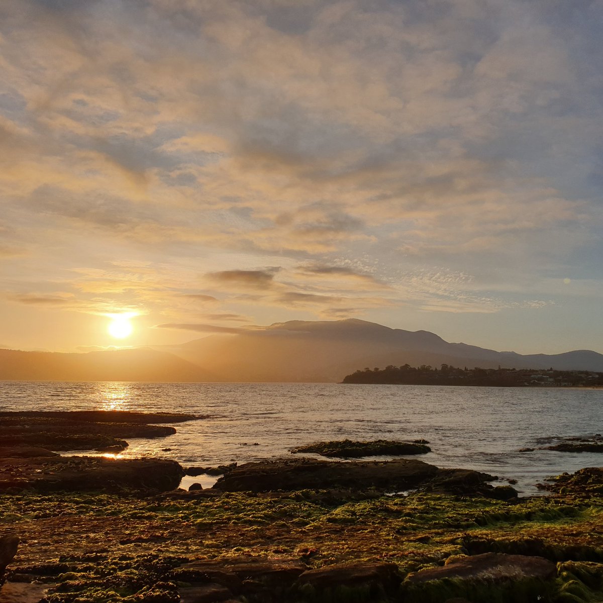 Huge congratulations to <a href="/GrettaPecl/">@GrettaPecl</a> for receiving a Member of the Order of Australia honour! Such richly deserved recognition for your incredible contribution to climate change and ecological research.