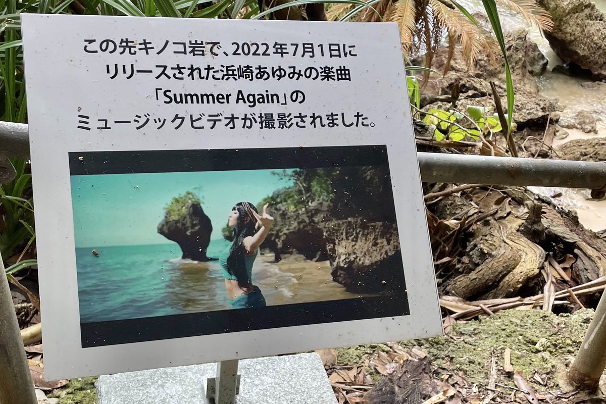 ishigaki_hecs's tweet photo. サビチ鍾乳洞のキノコ岩は、浜崎あゆみさんのMVのロケ地にもなったそうです☀️

雨の日でも楽しめるおでかけスポット。ぜひ足を運んでみてください！

#エンホテル #ホテルイーストチャイナシー #イーストチャイナシー #enhotel #hoteleastchinasea #eastchinasea #石垣島 #いしがきじま #石垣 #石垣市 https://t.co/2paOFjlOBd