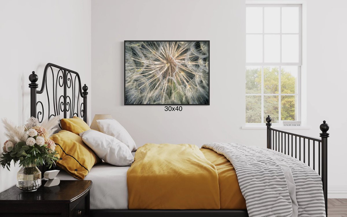 SteveHammPhoto's tweet photo. Shop my sale: 25% off. Spring is almost over. Get your Spring Flowers now and enjoy them all year long! https://t.co/8z65U8UoqU #etsy #stevehammphoto #etsyfinds #etsygifts #etsysale #etsycoupon #shopsmall #shop #homedecoration #springsales #spring2024 #springhascome https://t.co/GCUUKQOG6h