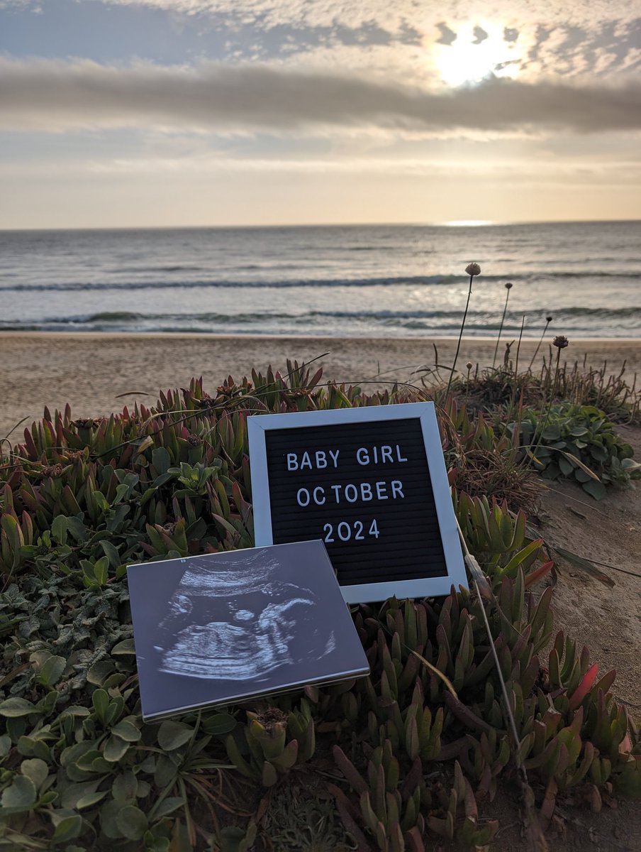 Sienna 🩷💜🩵✨️ tweet media