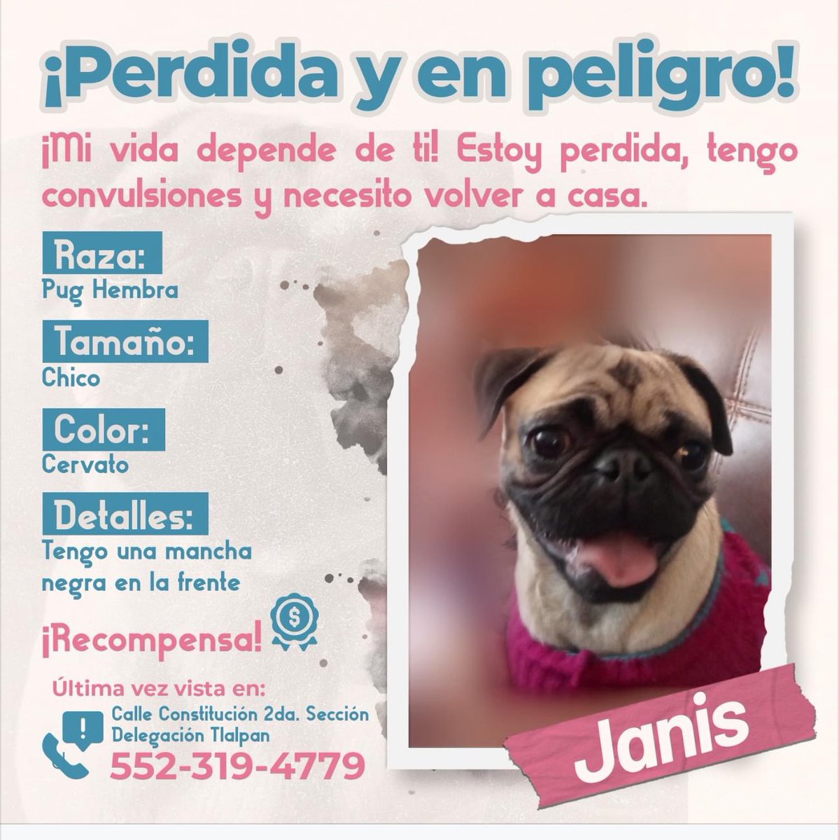 mayumiguillen's tweet photo. 🆘🐶🆘 https://t.co/SHiJK74ufK