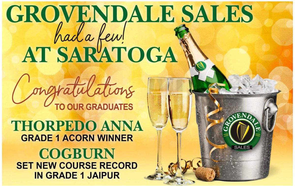 🥂@Grovendale had a few at Saratoga! 

Congratulations to our graduates Thorpedo Anna, GI Acorn winner, and Cogburn who set a new course record in the GI Jaipur!