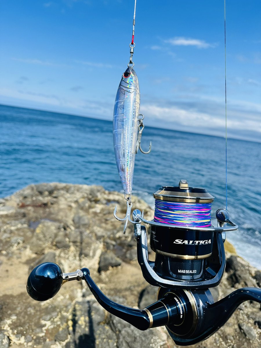 yupo_angler's tweet photo. うーみーはーひろいーなーおーきーなー♪
#PALMS
#RUSHDIVE
#流氷ロック
#SALTIGA
#DAIWA https://t.co/ZmQedR5oXu