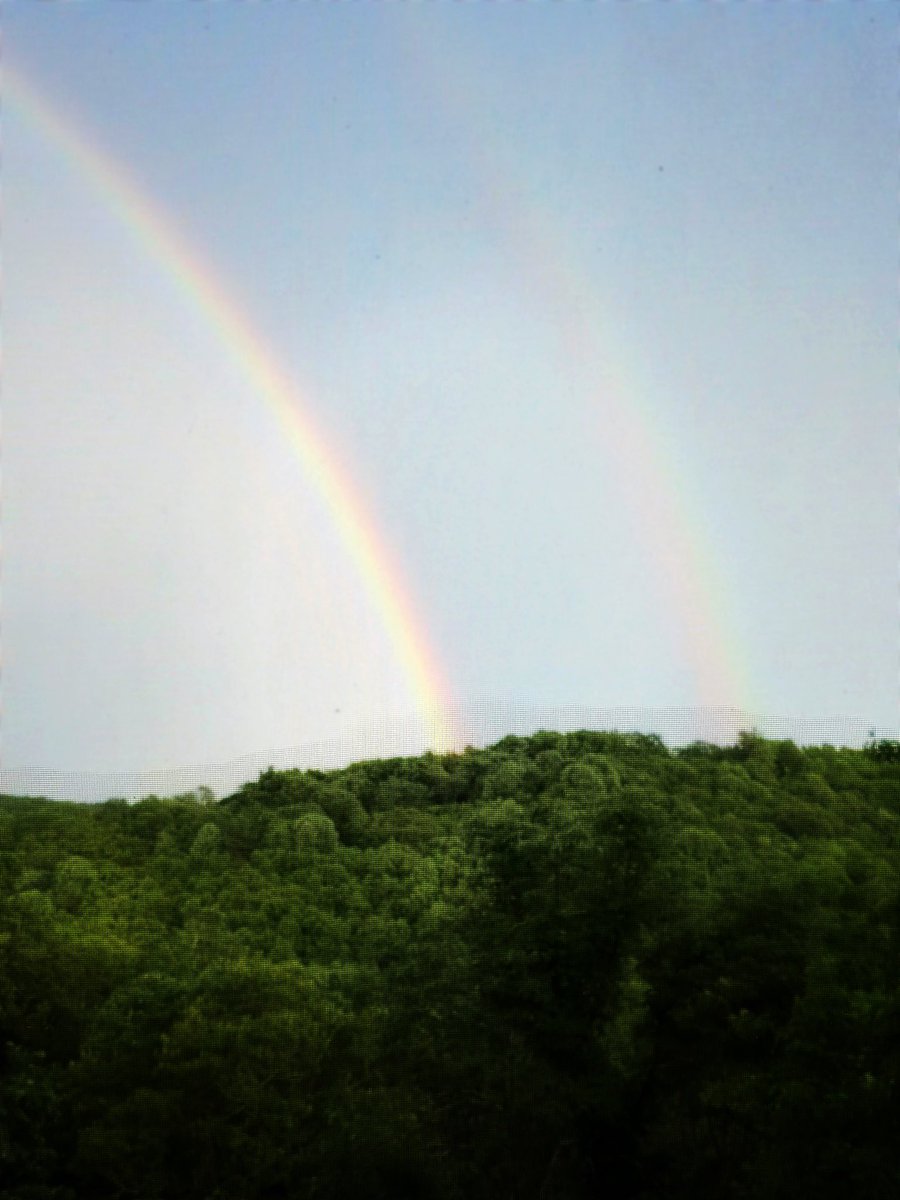 DeannaBallardNC's tweet photo. Looks like a promising start to a new week!  #backyardviews #ncmountains #thankyouGod https://t.co/GapFzKGvo8