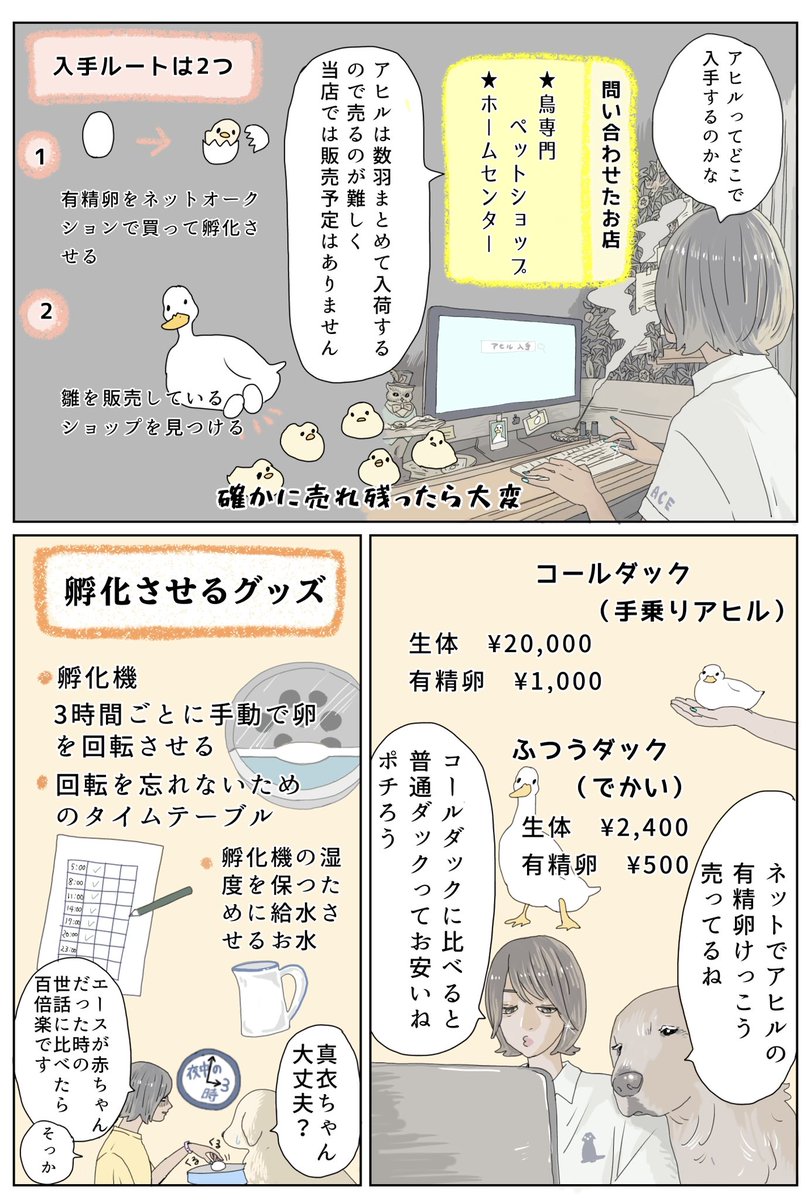 ヨバンがウチの家族になるまでの話です🐥
アヒルは愛情深くて直情的でかわいい鳥さんです。
#エースとヨバン
#漫画が読めるハッシュタグ