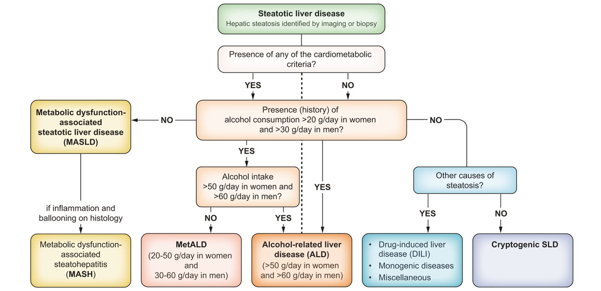 Journal of Hepatology (@jhepatology) on Twitter photo 🆕EASL #CPGs on the management of MASLD❗️
✅Update on definitions, prevention, screening, diagnosis & treatment for #MASLD
Full text👉bit.ly/3XeJnFc
✴️Joint publication with EASD & EASO❕
<a href="/EASLnews/">EASLnews</a>
<a href="/EASLedu/">EASL Education</a>
<a href="/AleksanderKrag/">Aleksander Krag</a>
<a href="/DebbieShawcros1/">Debbie Shawcross</a> 🆕EASL #CPGs on the management of MASLD❗️
✅Update on definitions, prevention, screening, diagnosis & treatment for #MASLD
Full text👉bit.ly/3XeJnFc
✴️Joint publication with EASD & EASO❕
<a href="/EASLnews/">EASLnews</a>
<a href="/EASLedu/">EASL Education</a>
<a href="/AleksanderKrag/">Aleksander Krag</a>
<a href="/DebbieShawcros1/">Debbie Shawcross</a>