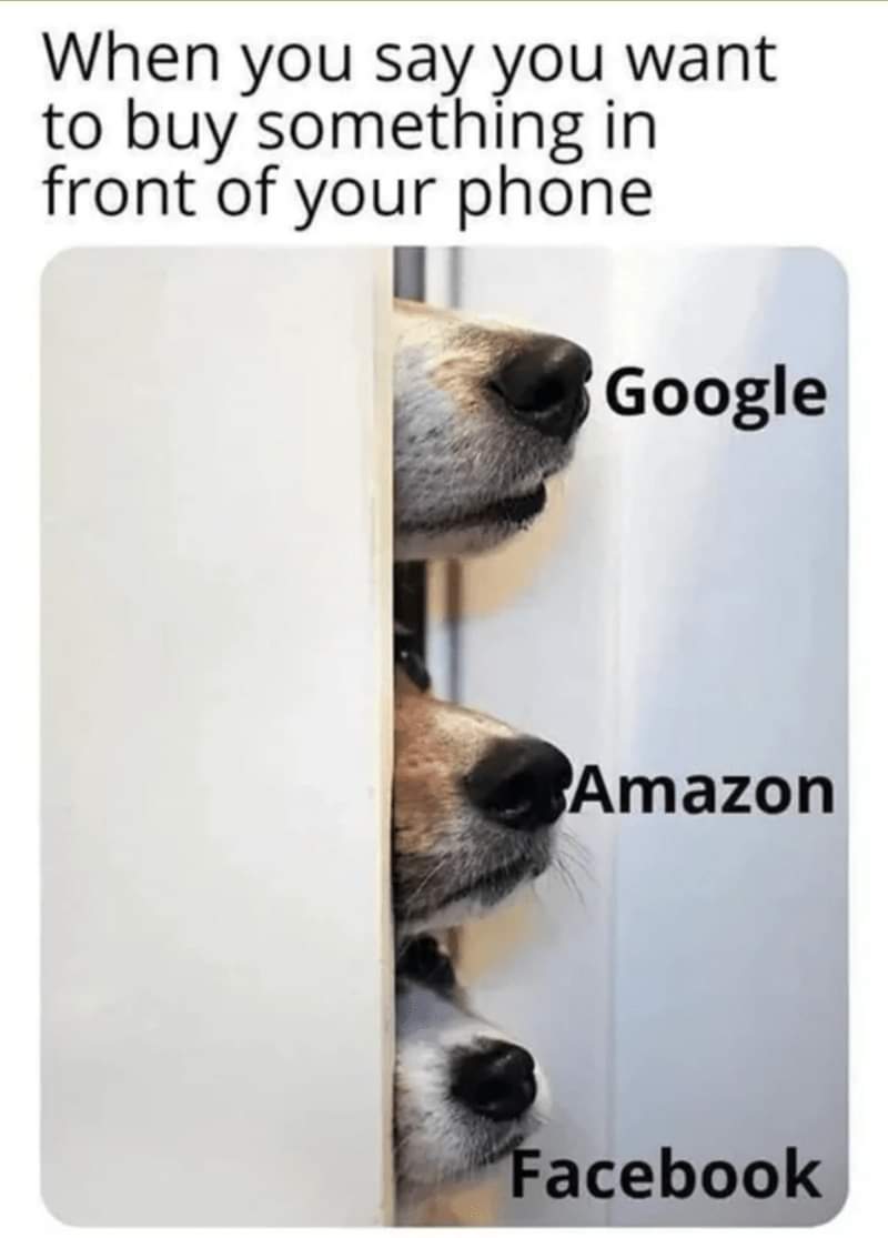 Heckin Good Dogs tweet media