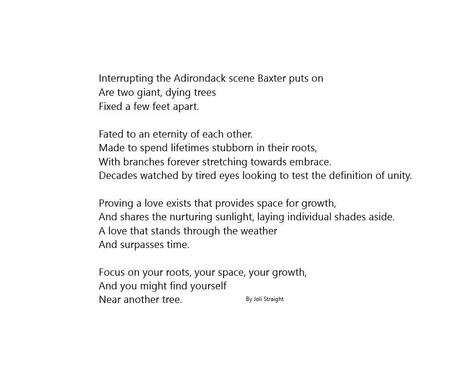 2linesofpoetry's tweet photo. might be longer than two lines  #poems #love #poetry #photograpy #baxter #mountain #adirondacks #adk Photo and Poetry by Joli Straight @ClementineR0se ! https://t.co/AQIsLMujHz