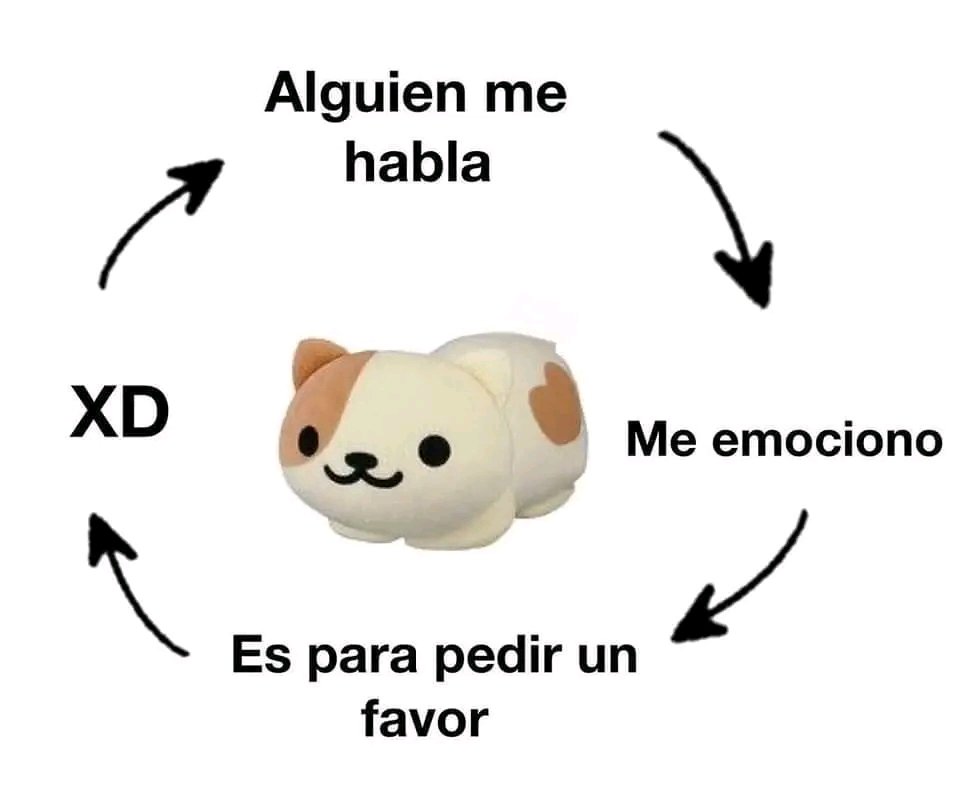 SrLuchoPortuano's tweet image. 