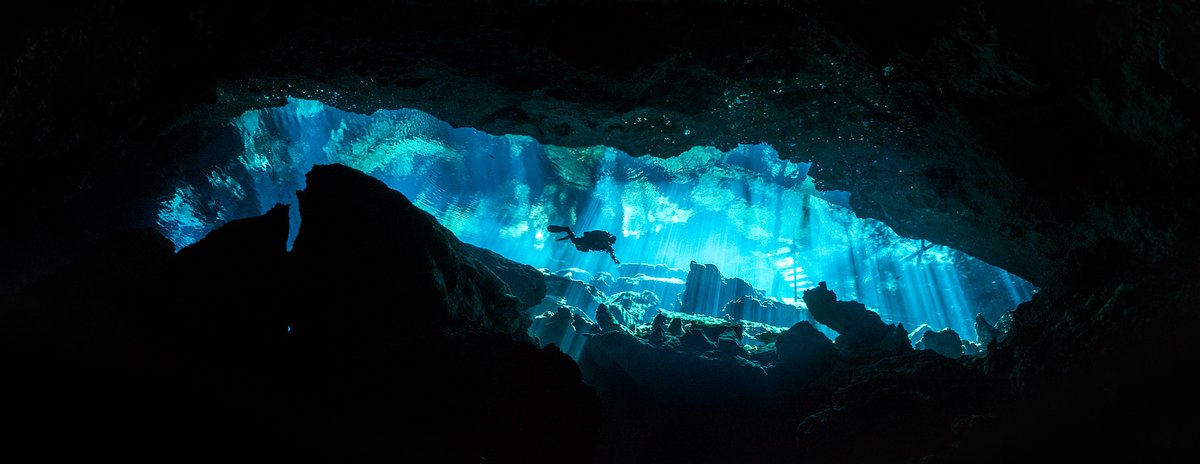 tstgeorge's tweet photo. Cenote entrance panorama shot.

#DIVEsBigShotCaves #AggressorAdventures @DiveMagazine https://t.co/NNJN4xd4hB