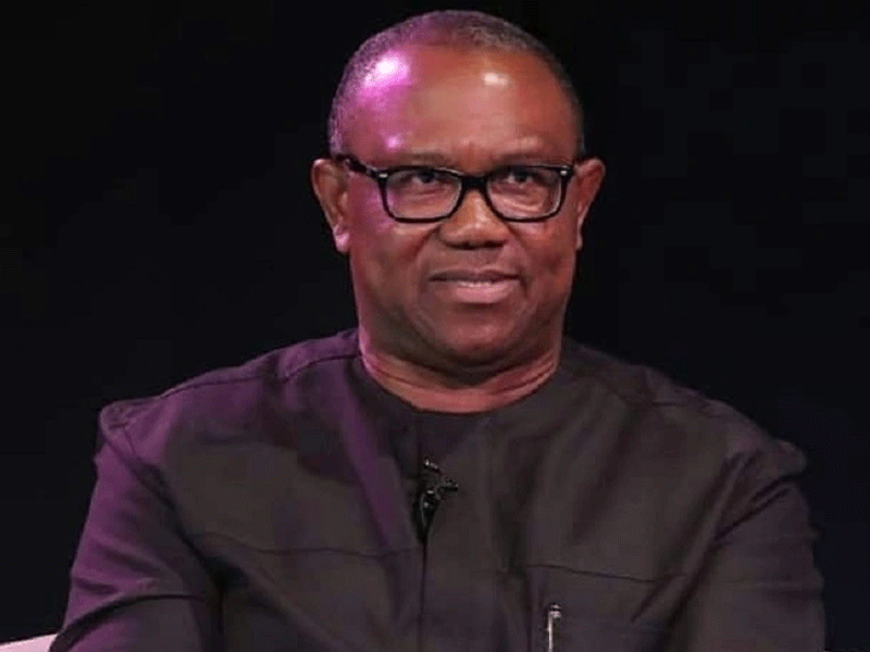 You lack understanding of Nigeria – Northern group blasts Peter Obi dailypost.ng/2024/06/09/you…