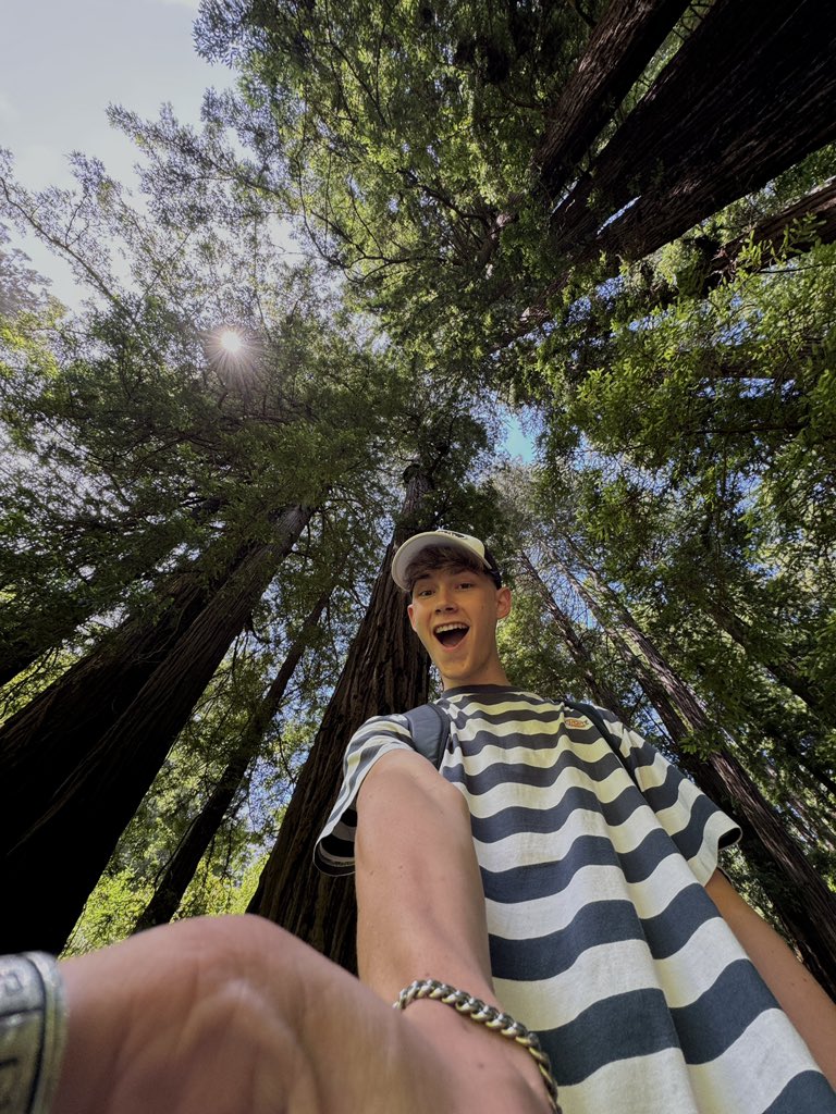 Moritz Breuer tweet media