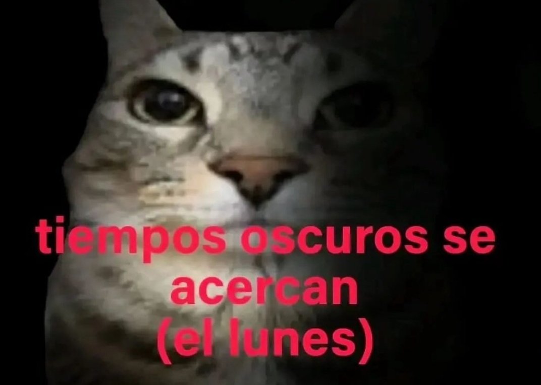 En Júpiter (@en_jupiter_) on Twitter photo 