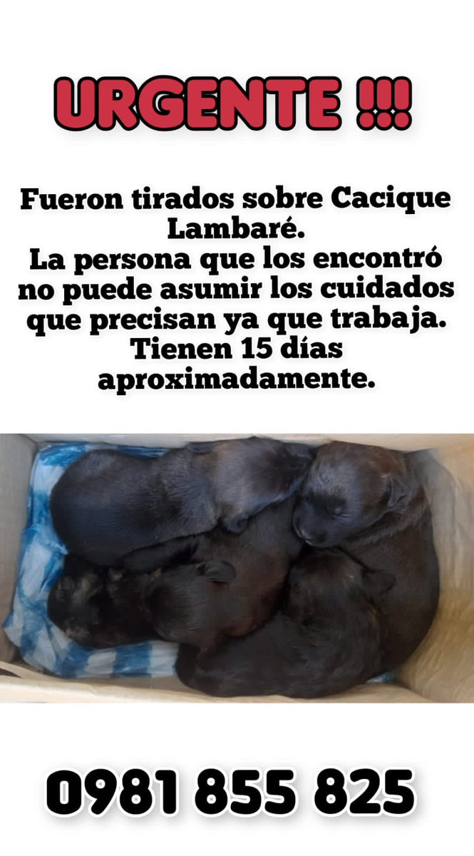 salvandohocicos's tweet photo. Xfa compartir https://t.co/zzjTg1Q8SD