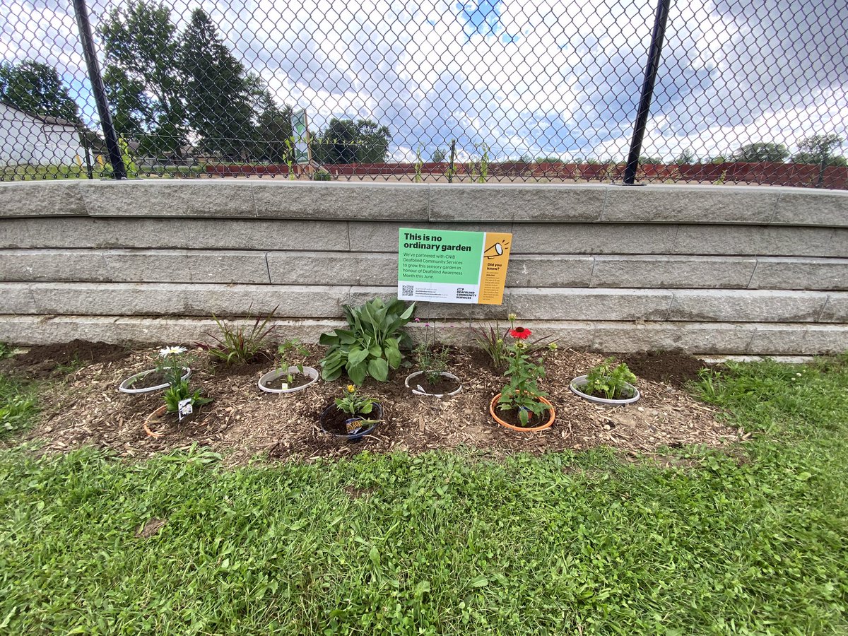 Nancy Smykaluk tweet media