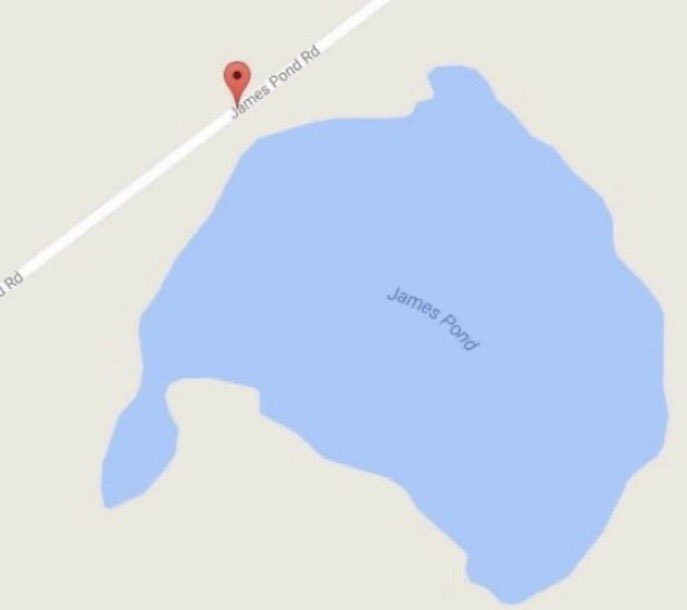 The name’s Pond…
