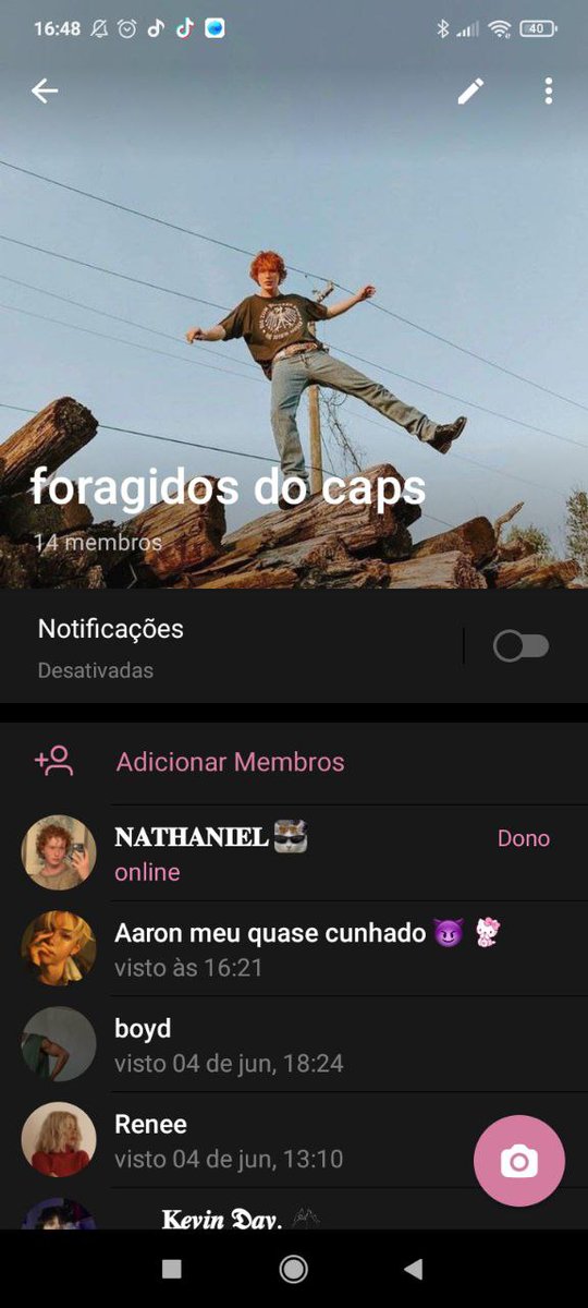 mymeowand tweet picture