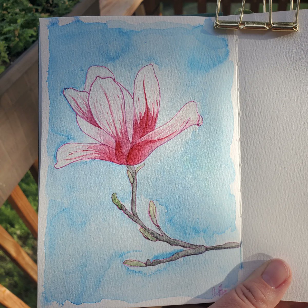 AndraMarieArt's tweet photo. #BloomInJune Magnolia. #Watercolors #Flowers #Magnolia https://t.co/yIhsrdwkIb