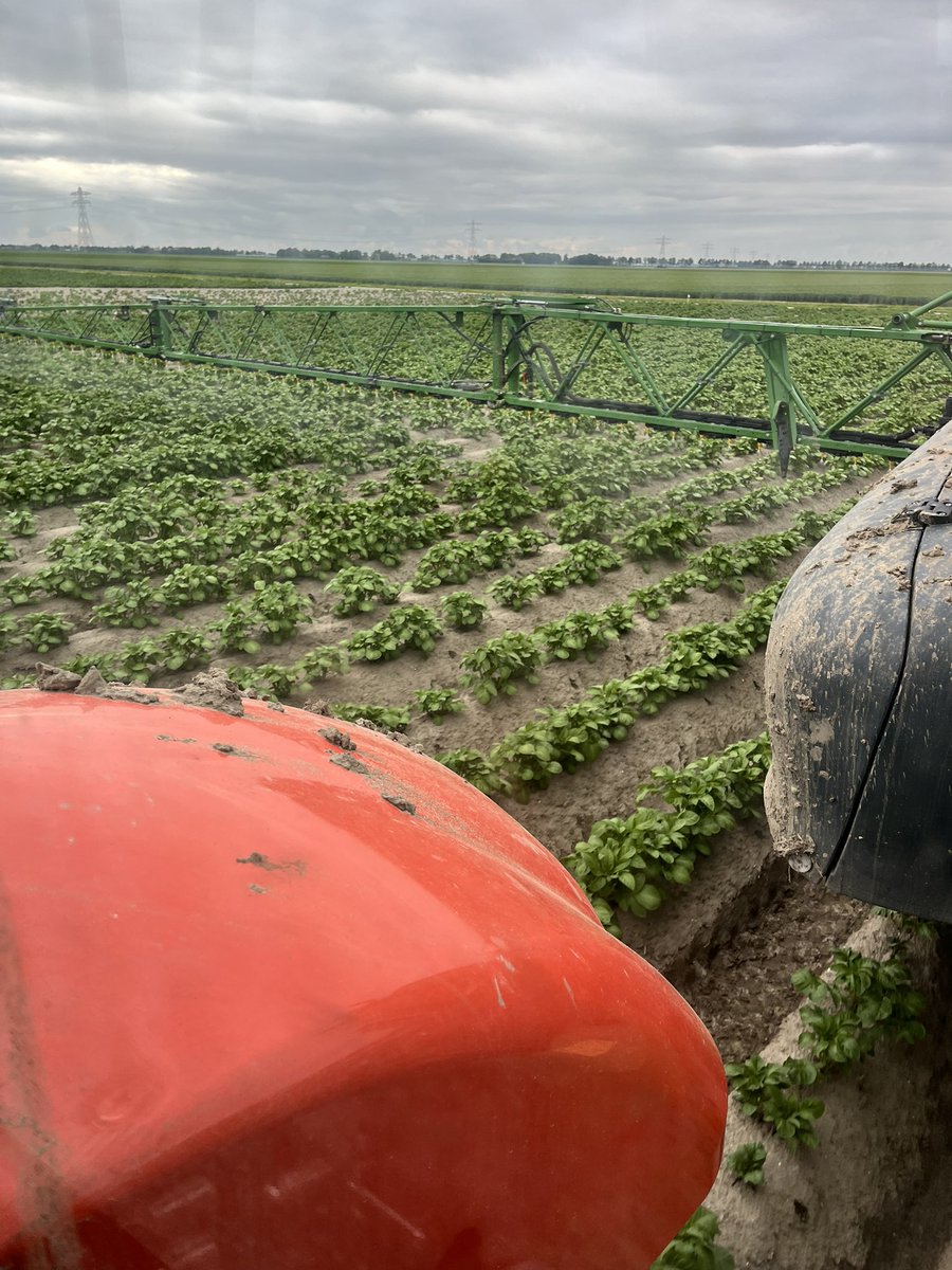 ptrholster's tweet image. Op zondag maar doen , wat we komende week niet kunnen doen!