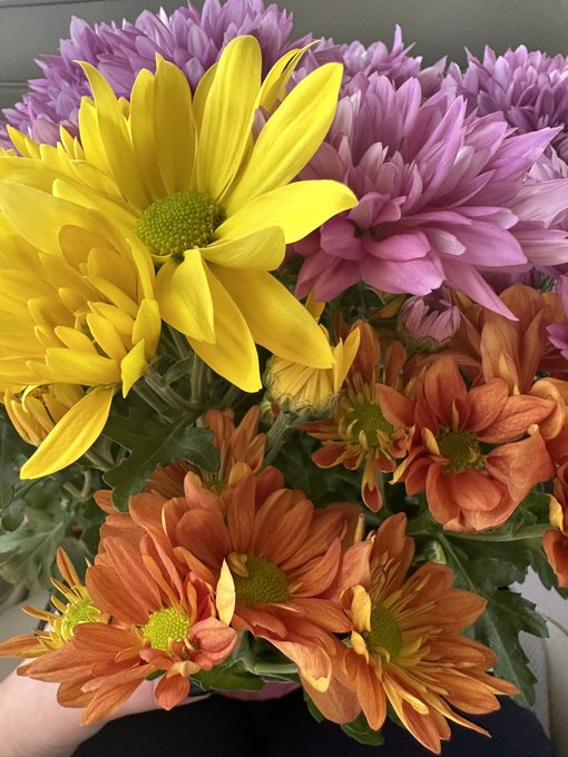 The vibes of today 🥰 https://t.co/AwPGgxjMcu<a href="/tag/book"class="tags"><span>#book</span></a><a href="/tag/acting"class="tags"><span>#acting</span></a><a href="/tag/voiceover"class="tags"><span>#voiceover</span></a><a href="/tag/booklover"class="tags"><span>#booklover</span></a><a href="/tag/bookworm"class="tags"><span>#bookworm</span></a>