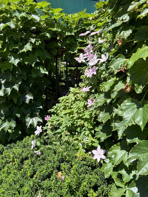 The vibes of today 🥰 https://t.co/AwPGgxjMcu<a href="/tag/book"class="tags"><span>#book</span></a><a href="/tag/acting"class="tags"><span>#acting</span></a><a href="/tag/voiceover"class="tags"><span>#voiceover</span></a><a href="/tag/booklover"class="tags"><span>#booklover</span></a><a href="/tag/bookworm"class="tags"><span>#bookworm</span></a>