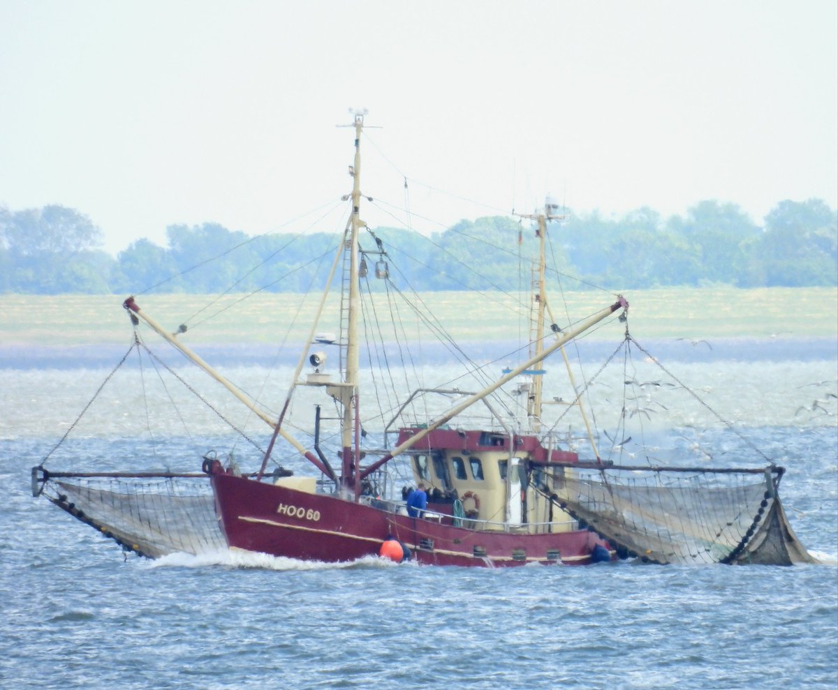 Afgelopen week op de Jade