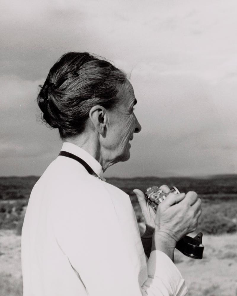 Meritxell-Anfitrite (@meritxellanfi) on Twitter photo "Two walls of my room in the Abiquiú house are glass and from one window I see the road toward Espanola, Santa Fe, and the world. The road fascinates me..."
🌸 Georgia O'Keeffe al <a href="/ciutatmaragda/">Ciutat Maragda</a>, amb <a href="/dvd_guzman/">David Guzman</a>, Xènia Dyakonova, @BorjaBagunya <a href="/beltadoX/">Adolf Beltran</a> i <a href="/jordigalli/">Jordi Galli</a> 🩷 "Two walls of my room in the Abiquiú house are glass and from one window I see the road toward Espanola, Santa Fe, and the world. The road fascinates me..."
🌸 Georgia O'Keeffe al <a href="/ciutatmaragda/">Ciutat Maragda</a>, amb <a href="/dvd_guzman/">David Guzman</a>, Xènia Dyakonova, @BorjaBagunya <a href="/beltadoX/">Adolf Beltran</a> i <a href="/jordigalli/">Jordi Galli</a> 🩷