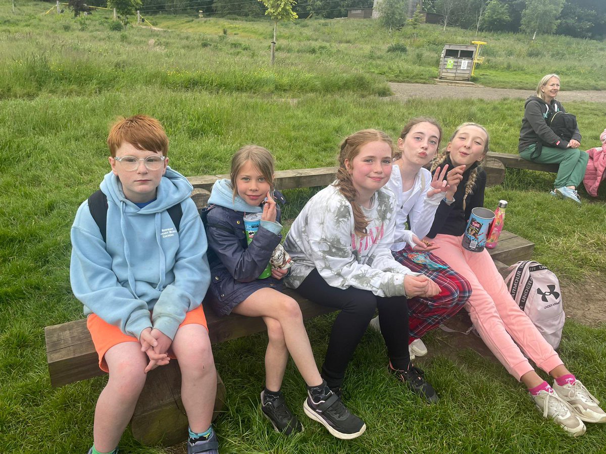 Polar Explorers tweet media