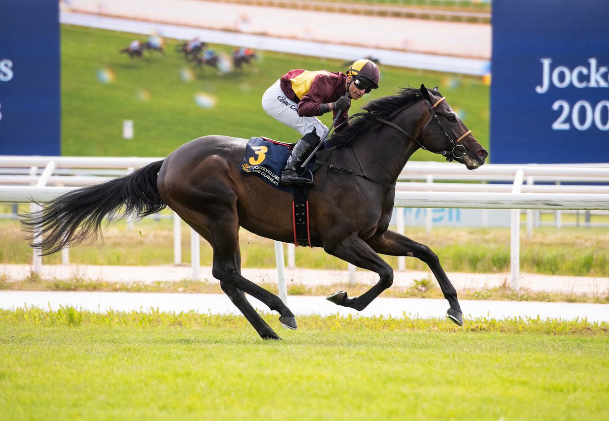 swehorseracing's tweet photo. 🏆 Jockeyklubbens 2000 Guineas 2024 winner  

🥇 BRIGADIER

📷 @RoccamShots
 
#swedishracing #horseracing https://t.co/nX0JjaLjHk