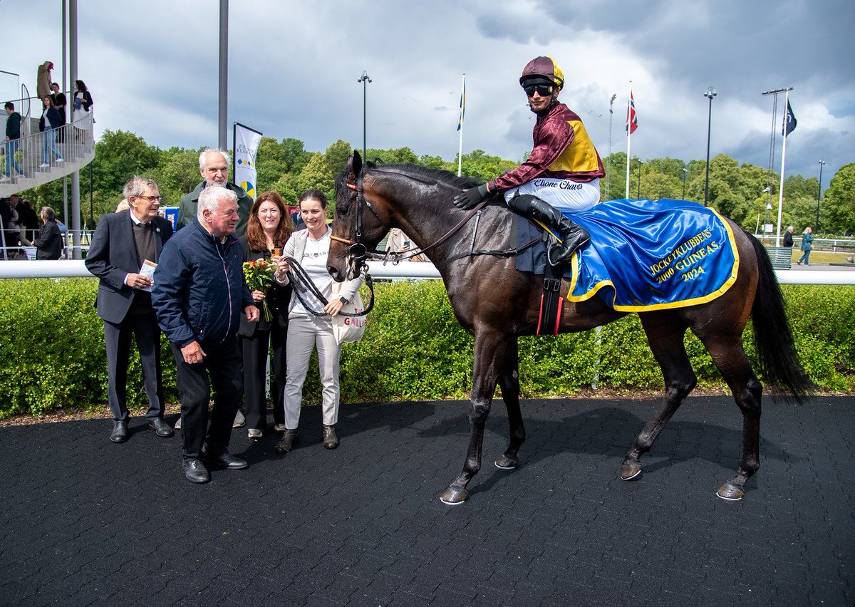 🏆 Jockeyklubbens 2000 Guineas 2024 winner  

🥇 BRIGADIER

📷 <a href="/RoccamShots/">ROCCAM SHOTS</a>
 
#swedishracing #horseracing