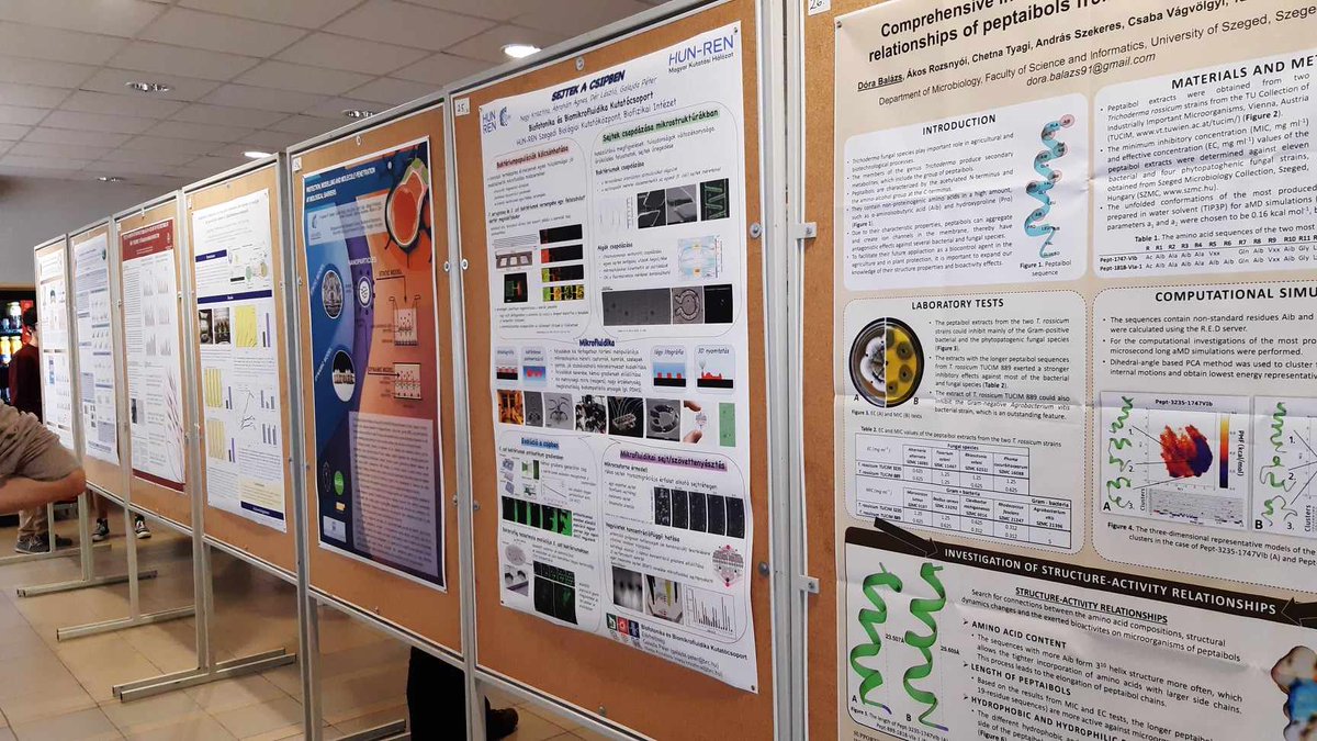 BarriersGroup's tweet photo. This year our colleague Dr. Fruzsina Walter presented the group's work to students. In Pécs, on the annual meeting of the Hungarian Pharma Student Association, then on the 1st Biotechnology Research Day in Szeged. The poster design was prepared by Anikó Szecskó. https://t.co/WzIBdsPUoZ