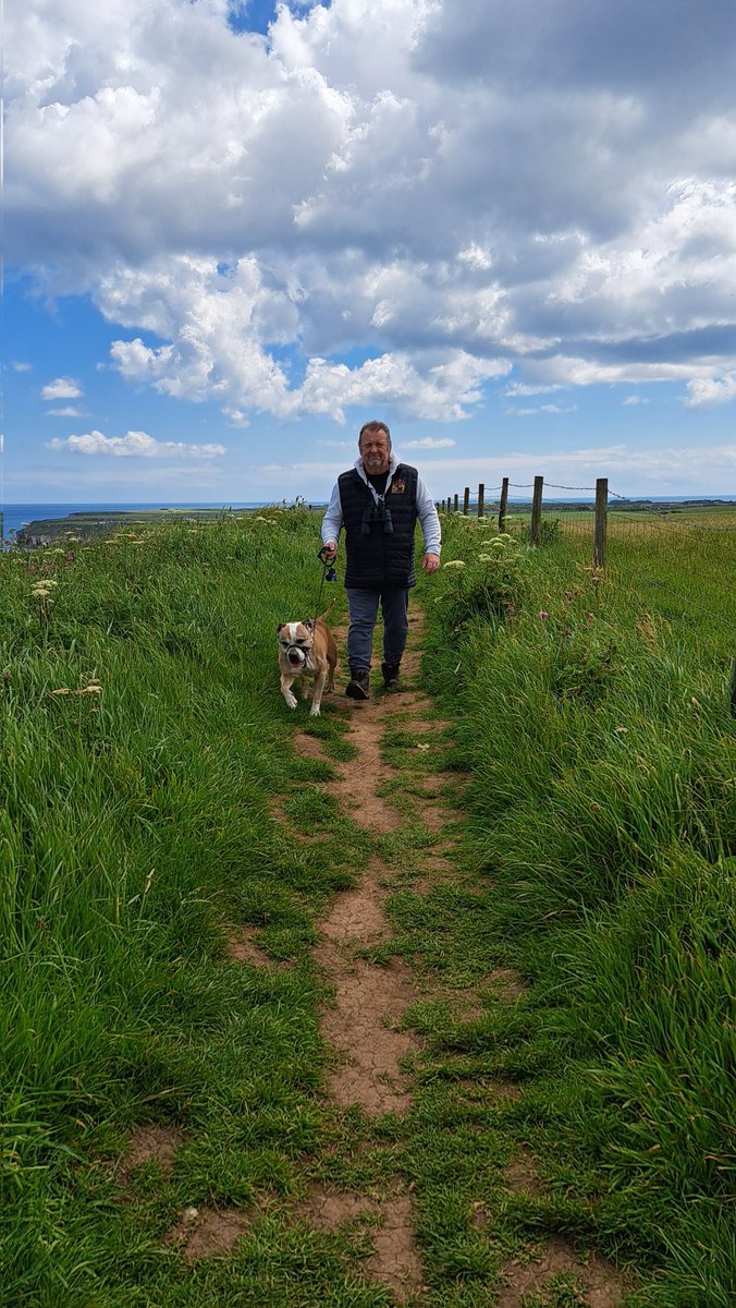 Sharron Thomas 💙🇺🇦 tweet media