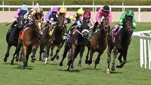 lotohipico's tweet photo. #DOMINGO #Junio09. 2024. #GulfstreamPark #AMERICANAS #hipismo @DerbyNoqueador
Asesoría 04248131900.
✔️DECIMA CARRERA: 5-3 "Pareja".🏇👏 https://t.co/4tUoQOdxBI