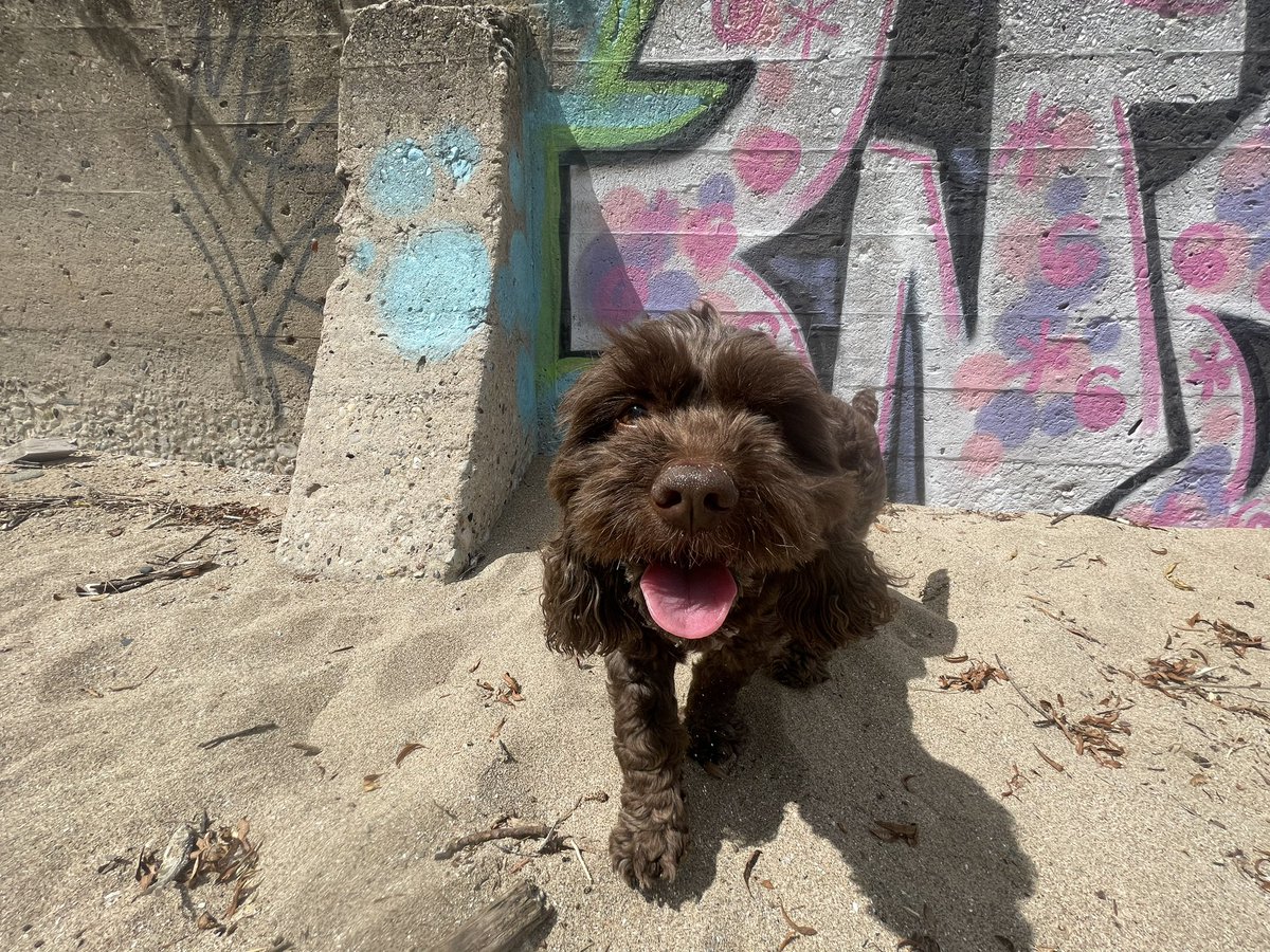 ThisIsStephan's tweet image. Secret Beach Sunday.