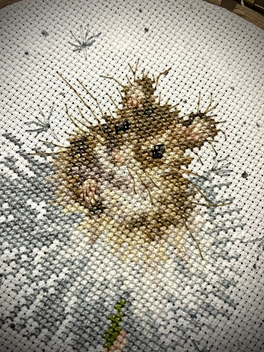 NatCBrooks's tweet image. Cute little brown mouse! 🐭🤎✨ ‘Dandelion Clock’ from Bothy Threads by Wrendale, Hannah Dale 🪡🧵
#craftynat83 #bothythreads #hannahdale #wrendaledesigns #dandelionclock #littlebrownmouse #crossstitch #cute