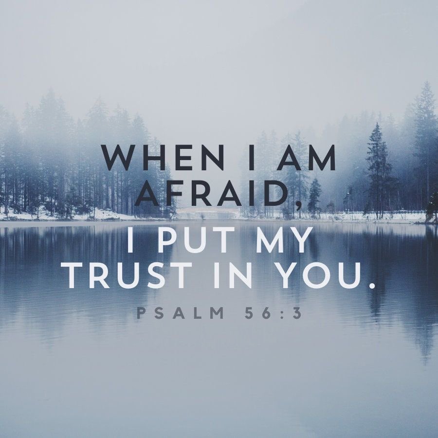 JesusChristsGod's tweet photo. When I am afraid, I put my trust in you.
Ps.56.3 https://t.co/MCmGAOlbBp