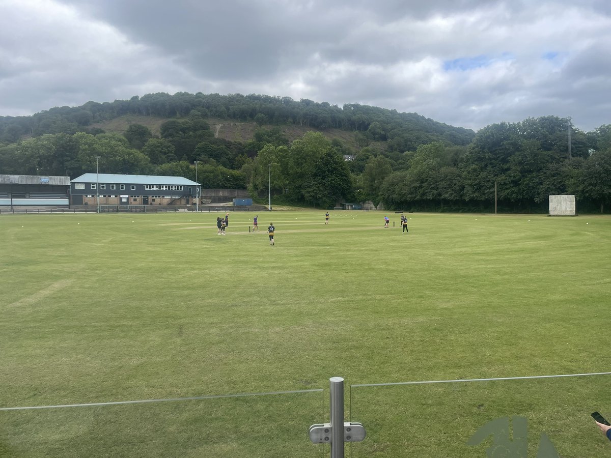 Newbridge Newts🦎 tweet media