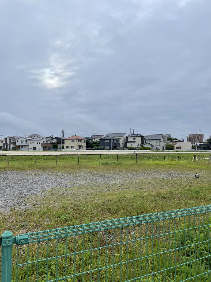 narabito35's tweet photo. おはようございます😃

朝んぽ🚶
どれだけ忙しくても朝の散歩の時間は確保します！
今日も1日頑張りましょう💪

#ダイエット
#朝活 https://t.co/jCYNPZCn63