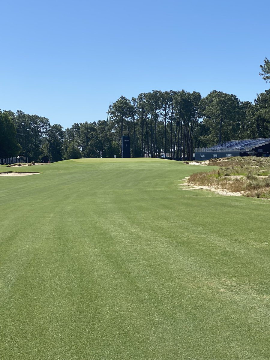 Brandel Chamblee tweet media