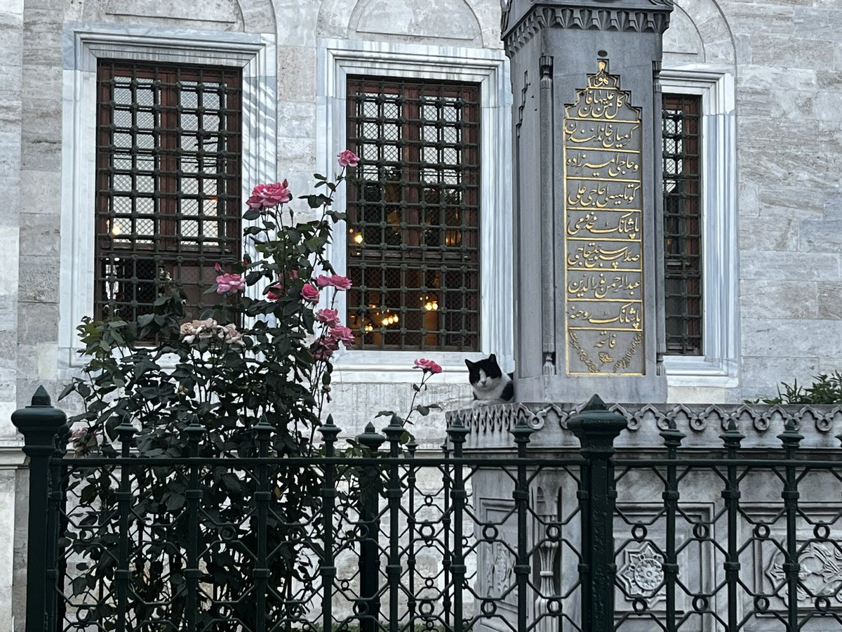 drbalkizzz's tweet photo. 1- Andolsun kuşluk vaktine
2- ve dindiği zaman o geceye ki, 
3- Rabbin sana veda etmedi ve darılmadı!
4- Ve kesinlikle senin için sonu önünden (ahiret dünyadan) daha hayırlıdır. 
5- ileride Rabbin sana verecek de hoşnut olacaksın! (Duha suresi)🤍 https://t.co/FHtTkoBMDf