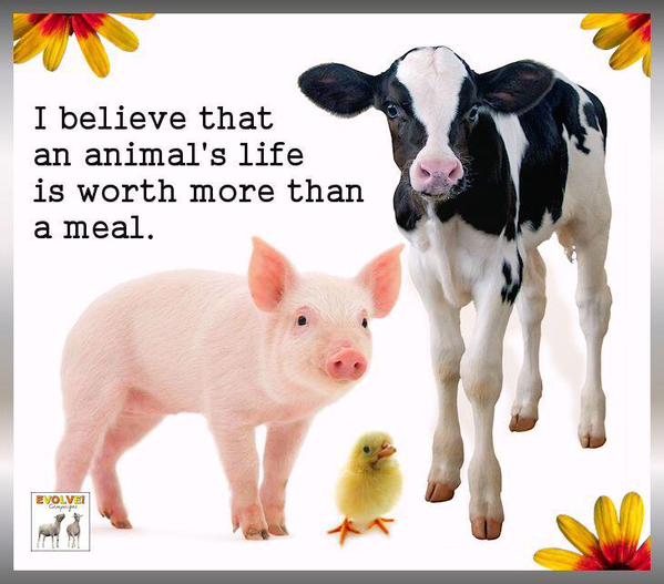 I believe an animal's life is worth more than a meal