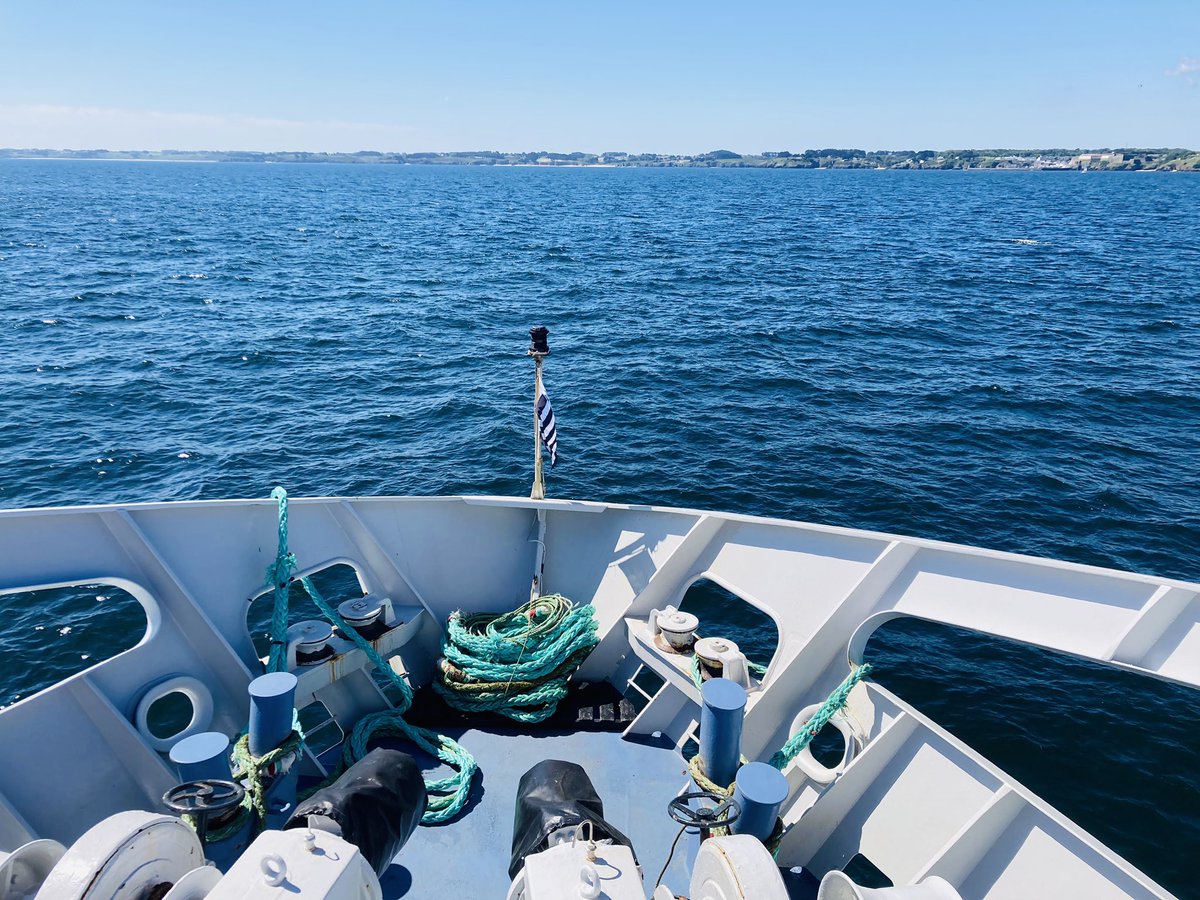 LEMAÎTRE Céline tweet media