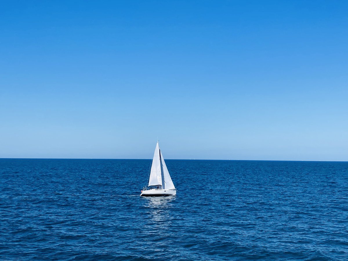 LEMAÎTRE Céline tweet media