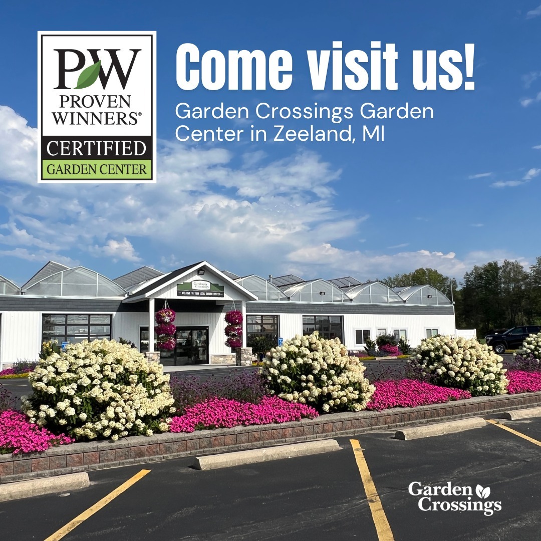 As a <a href="/ProvenWinners/">ProvenWinners</a> Certified Garden Center, we think it’s safe to say we know a thing or two about Proven Winners® plants. 😉⁠
⁠
Come visit our retail location in Zeeland, MI! Browse the aisles full of Proven Winners® plants.
⁠