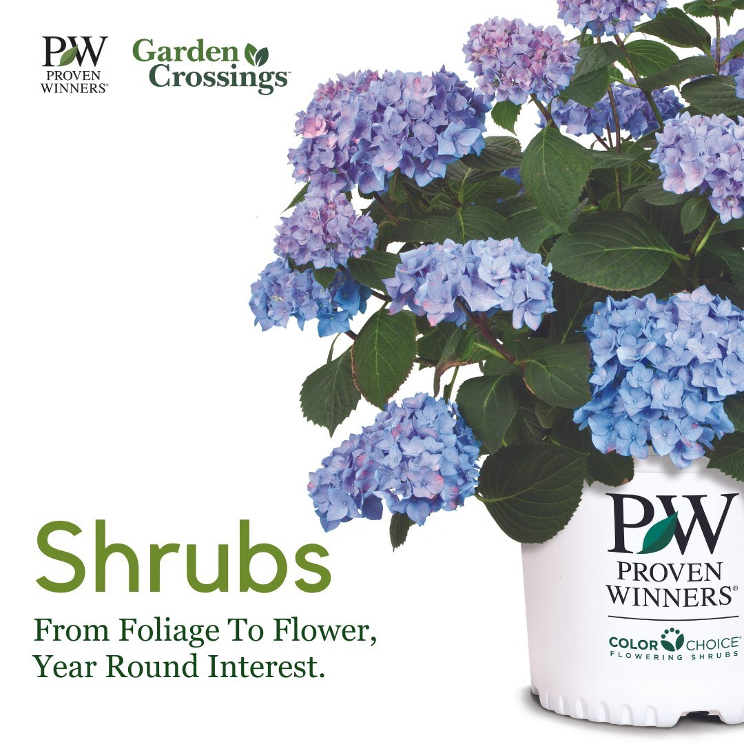 Did you know that Garden Crossings carries 100% of the @provenwinners shrub and perennial lines and 90% of the Proven Winners® Annuals? We offer Proven Winners® plants because they have been trialed, tested, and nationally known for quality.⁠
⁠gardencrossings.com