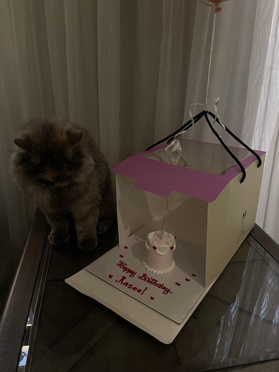 Raseel Almutairi tweet media