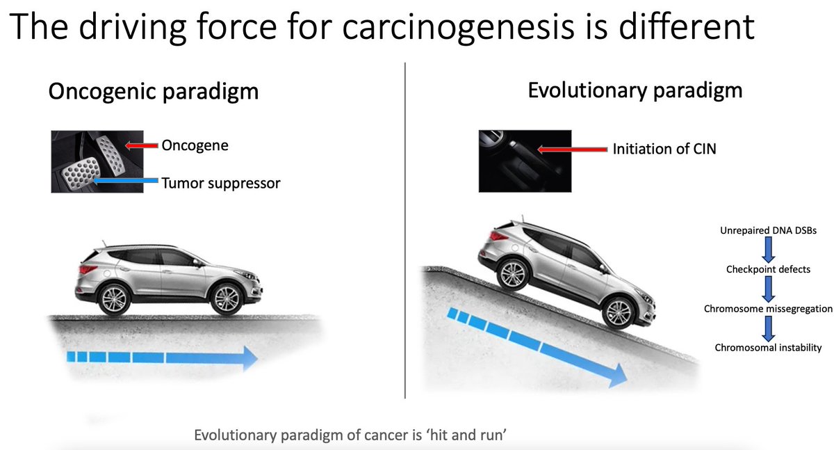 arijitchakrav's tweet photo. In fact, there's a better way to think about carcinogenesis, as I've discussed in a previous thread- the evolutionary paradigm, which posits that genomic (usually chromosomal) instability (CIN), is the main driver of carcinogenesis. (9/) https://t.co/PgtFTr80SZ